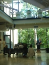 The Stream Atrium