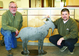Community Goat Art Ross Kuehn