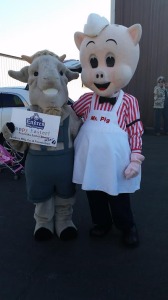 goatandpig
